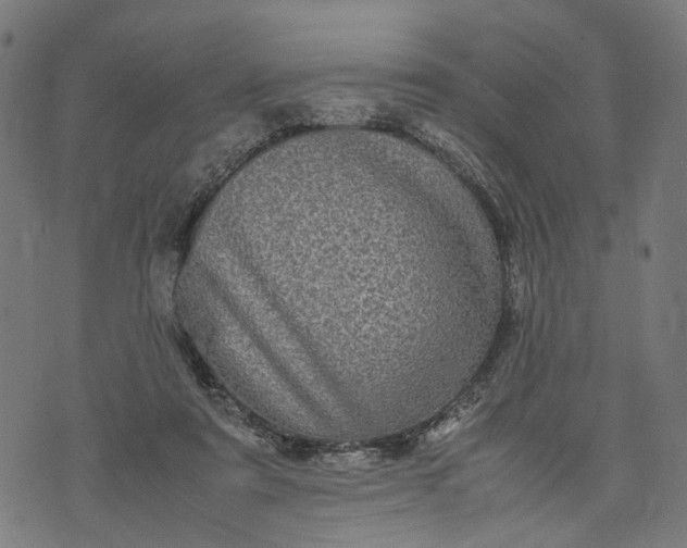 X0000070390307200606231744