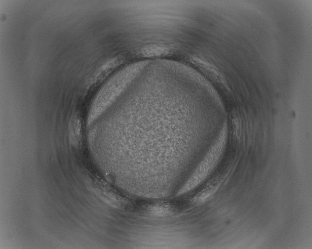 X0000070390308200606231744