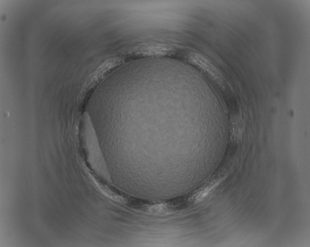 X0000070390309200606231744