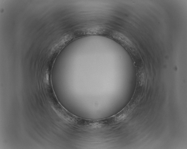 X0000070390310200606231744