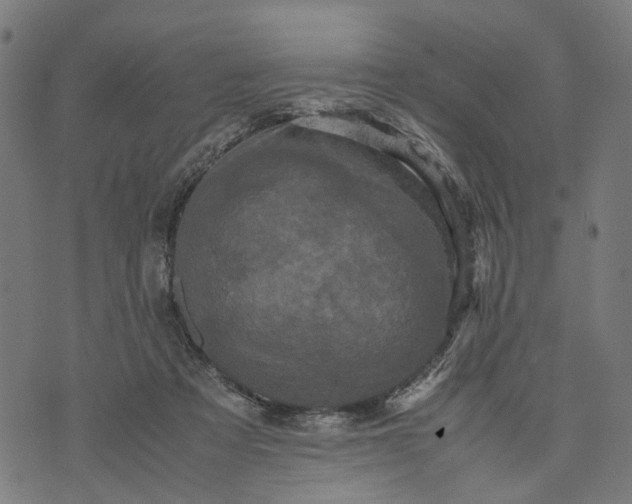 X0000070390313200606231744