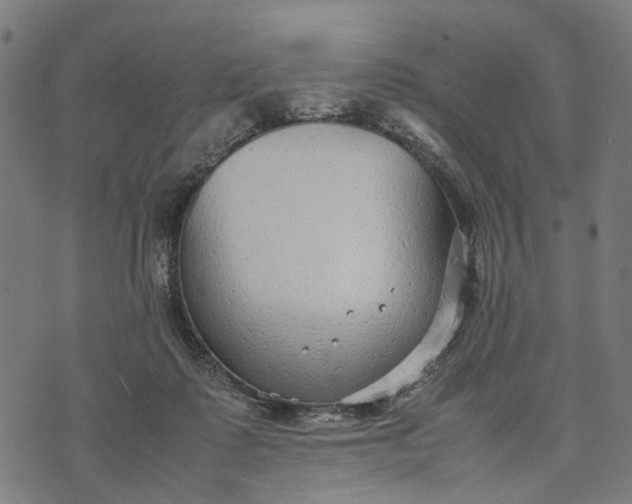 X0000070390315200606231744