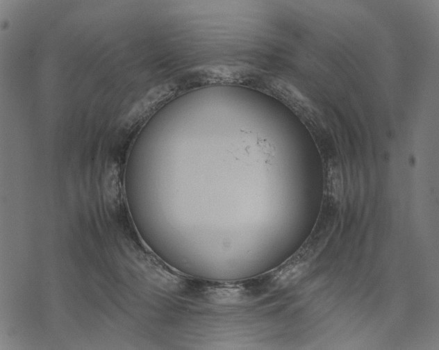 X0000070390318200606231744