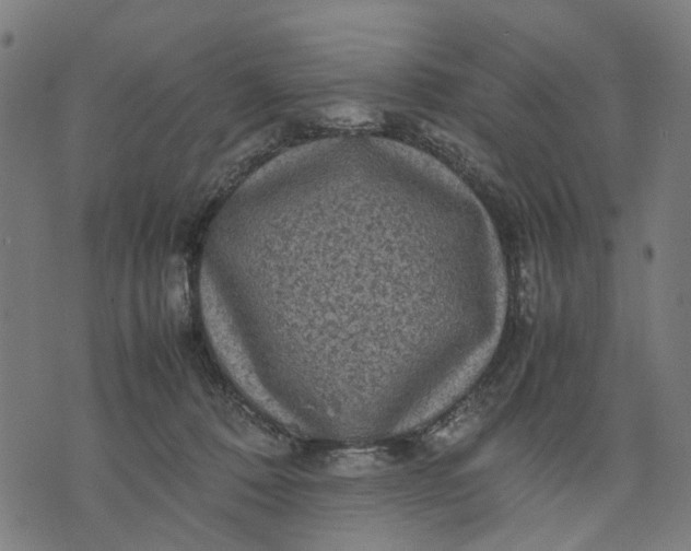 X0000070390320200606231744