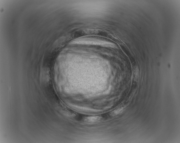 X0000070390323200606231744