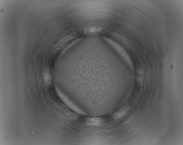 X0000070390324200606231744