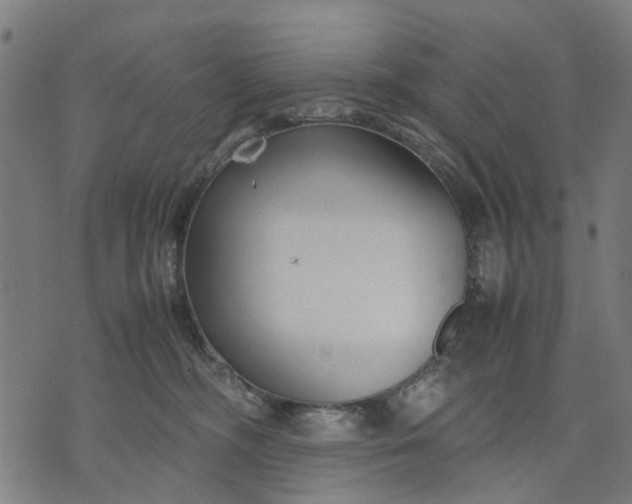 X0000070390326200606231744