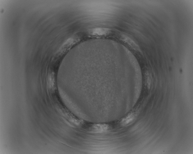 X0000070390328200606231744