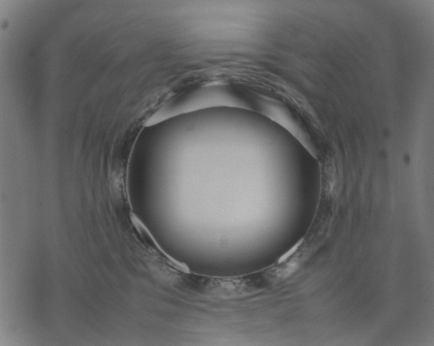 X0000070390329200606231744