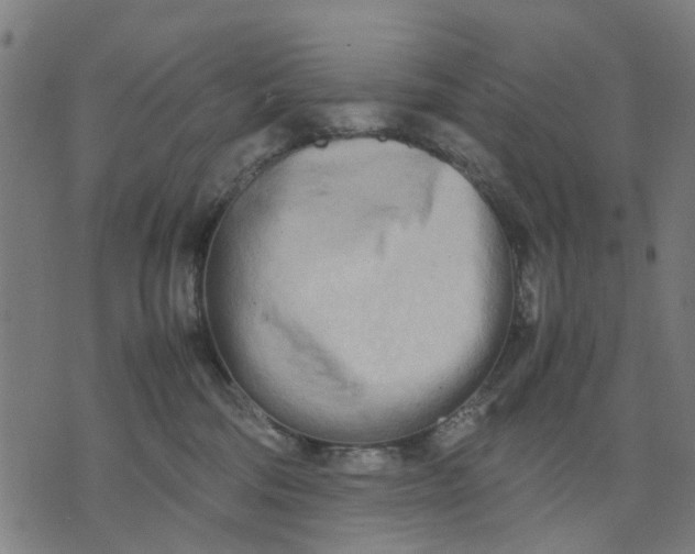 X0000070390330200606231744