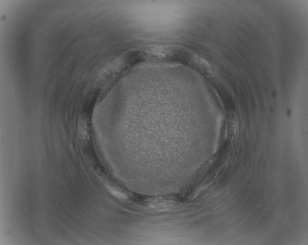 X0000070390331200606231744