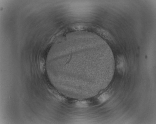 X0000070390332200606231744