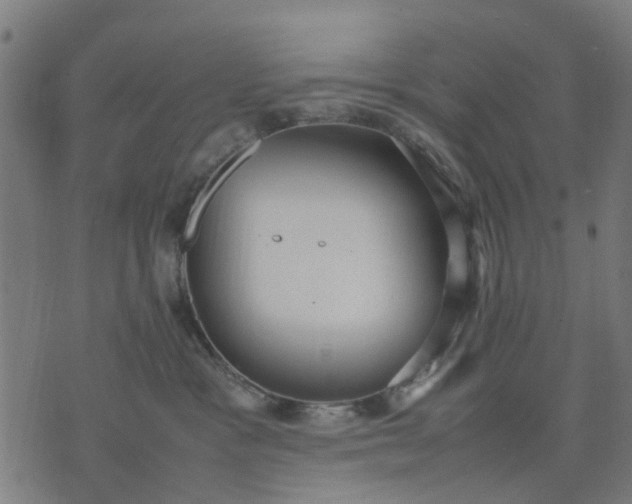 X0000070390333200606231744