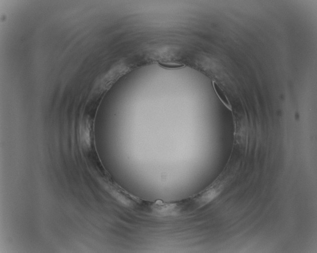 X0000070390334200606231744