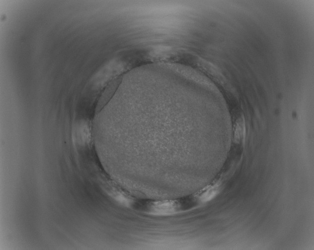 X0000070390335200606231744