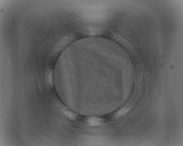 X0000070390336200606231743