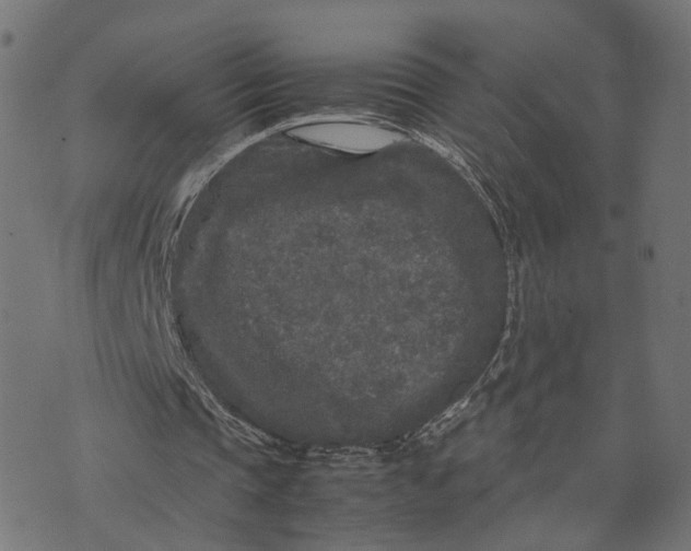 X0000070390337200606231743