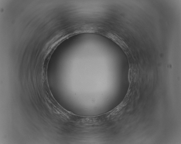 X0000070390338200606231743