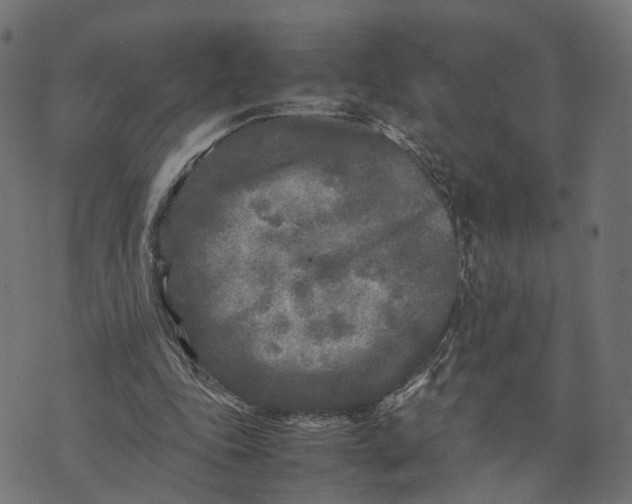 X0000070390343200606231743