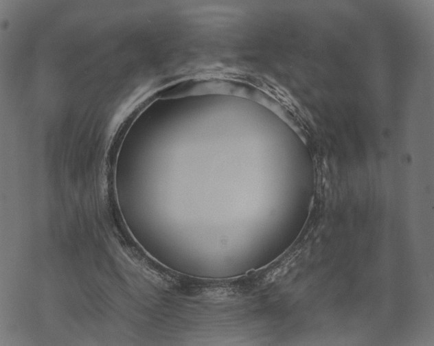 X0000070390344200606231743