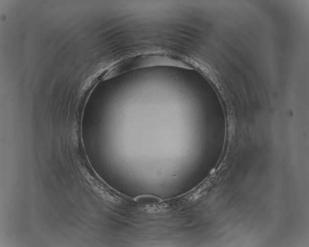 X0000070390345200606231743