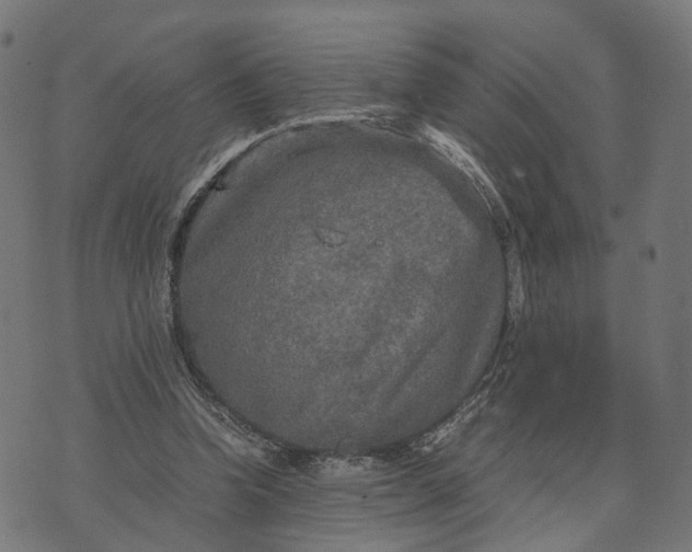 X0000070390346200606231743