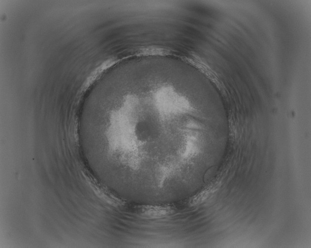 X0000070390347200606231743