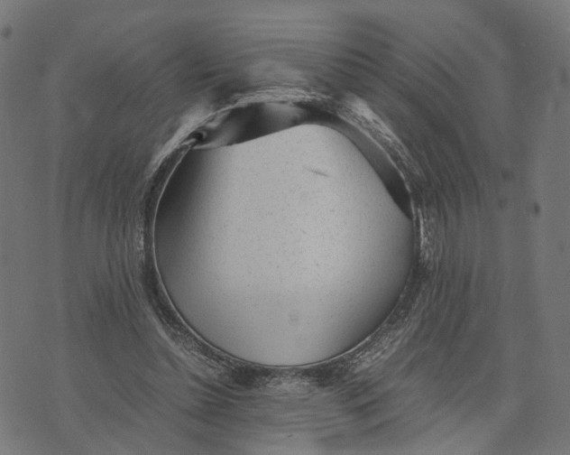 X0000070390348200606231743