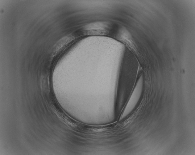 X0000070390349200606231743