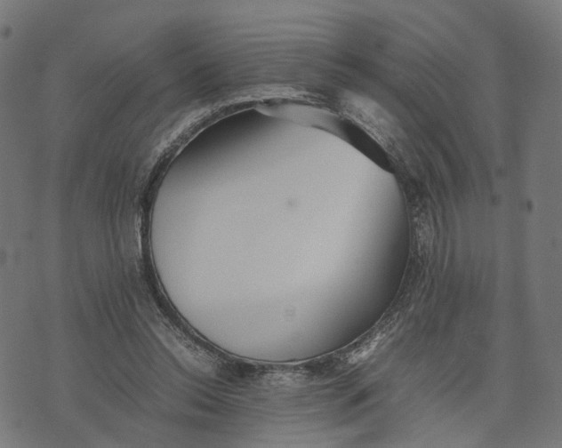 X0000070390350200606231743