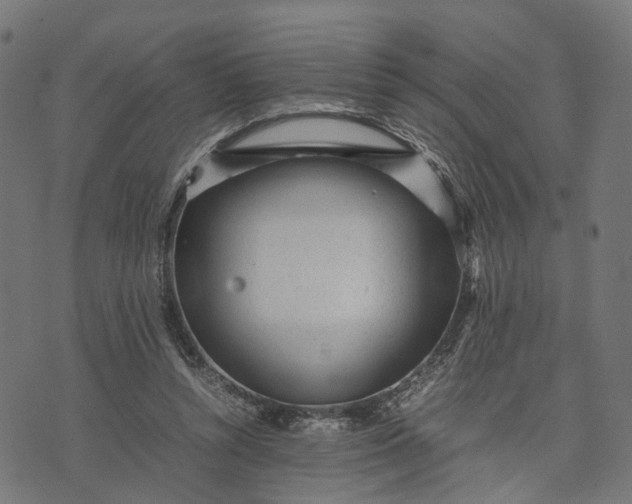 X0000070390352200606231743