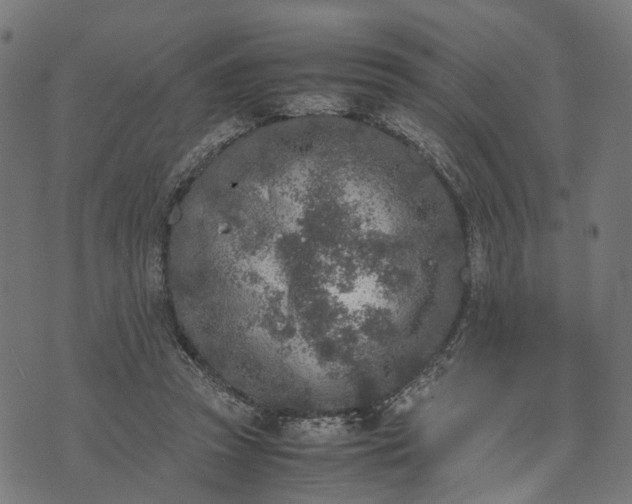 X0000070390353200606231743