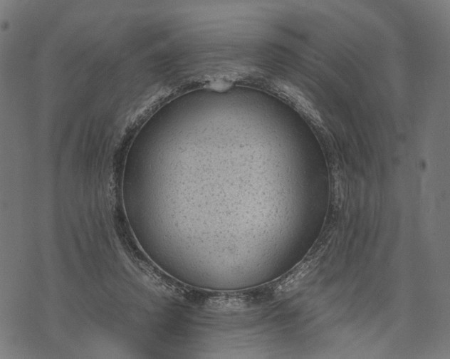 X0000070390354200606231743