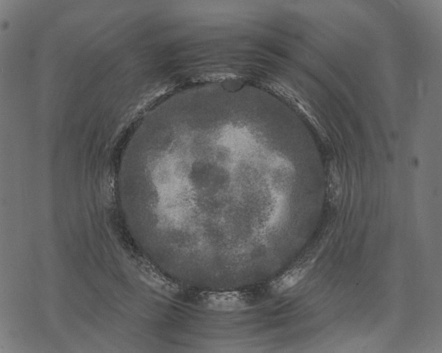 X0000070390355200606231743