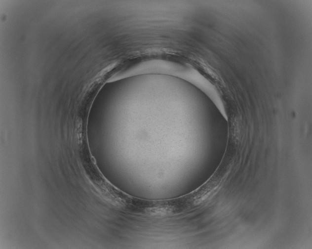 X0000070390356200606231743