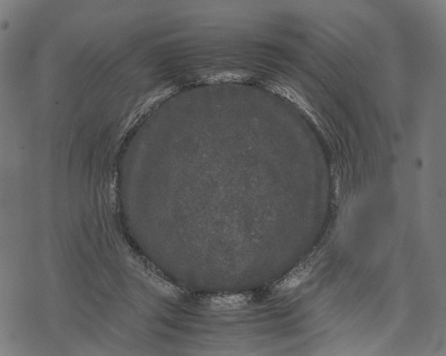 X0000070390357200606231743