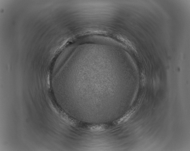 X0000070390358200606231743