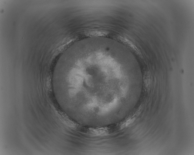 X0000070390359200606231743