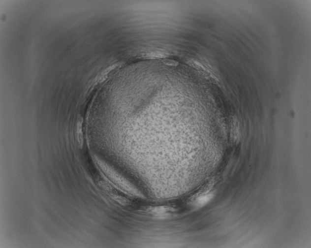 X0000070390360200606231743