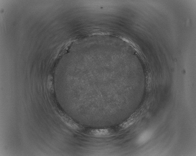 X0000070390361200606231743