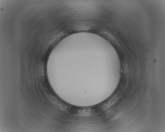 X0000070390362200606231743