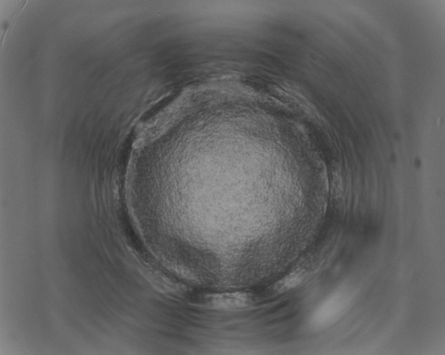 X0000070390363200606231743