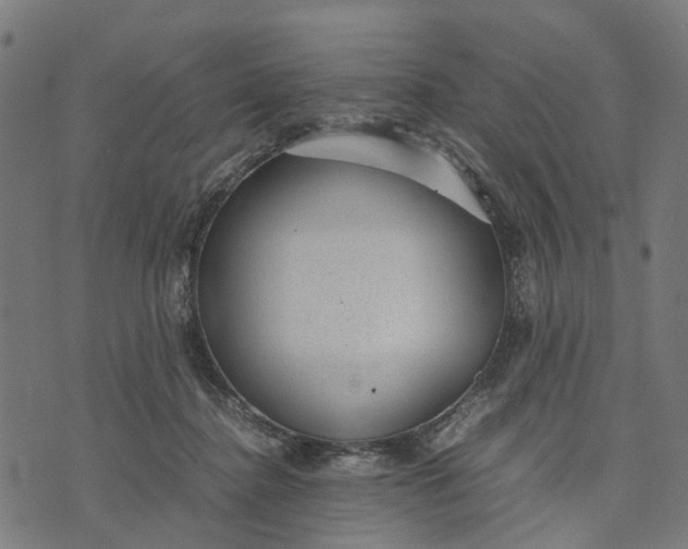 X0000070390364200606231743