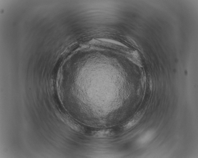 X0000070390366200606231743