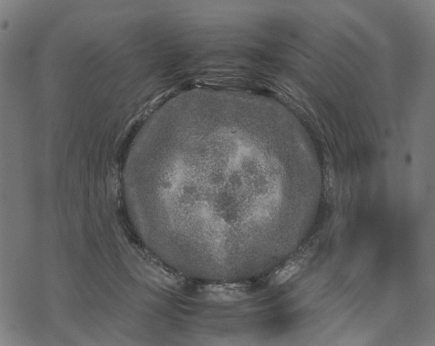 X0000070390367200606231743