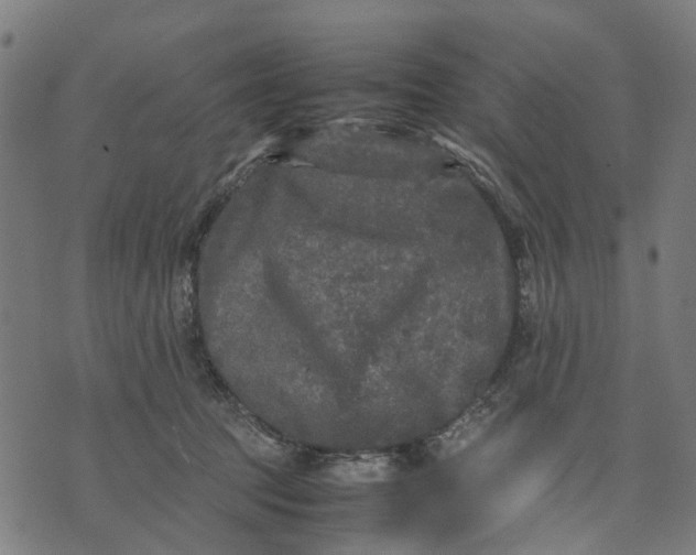 X0000070390369200606231743