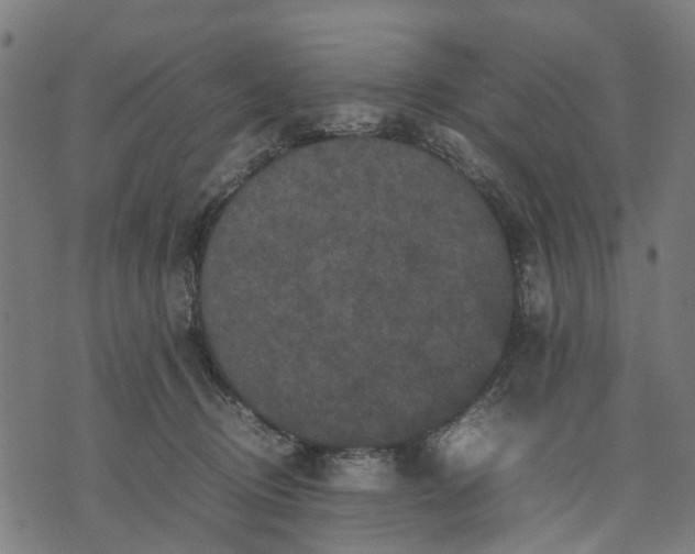 X0000070390370200606231743