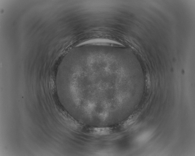 X0000070390371200606231743