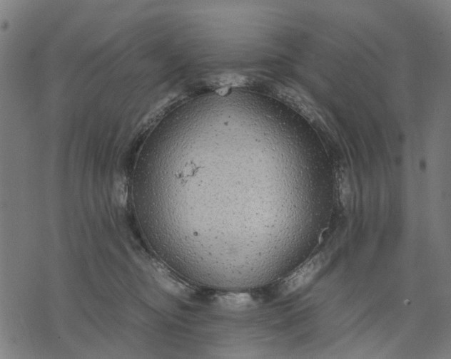 X0000070390374200606231743