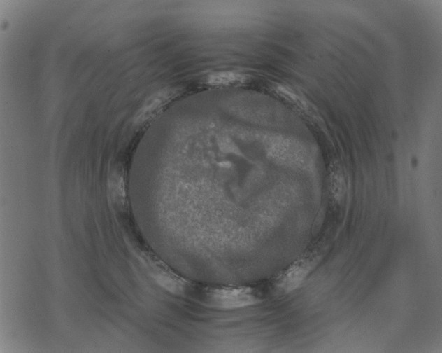 X0000070390375200606231743